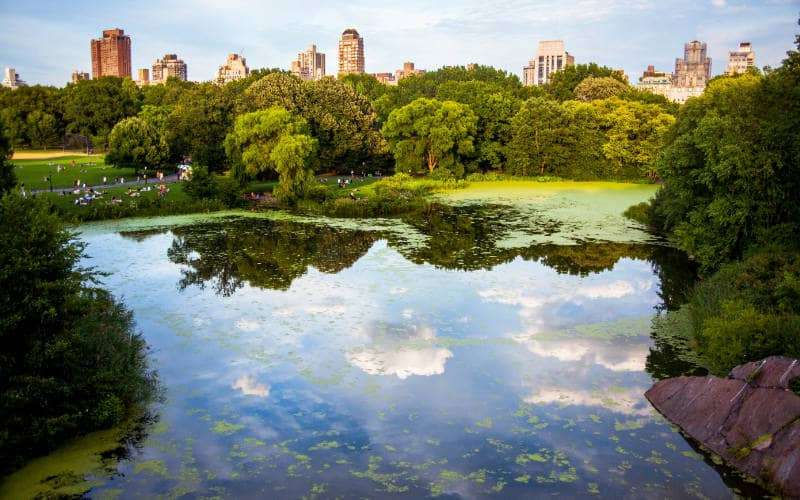 gratis parken new york