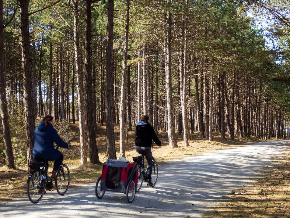 fietsen nederland avontuurlijk