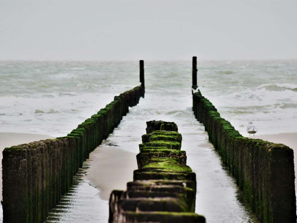 kust nederland