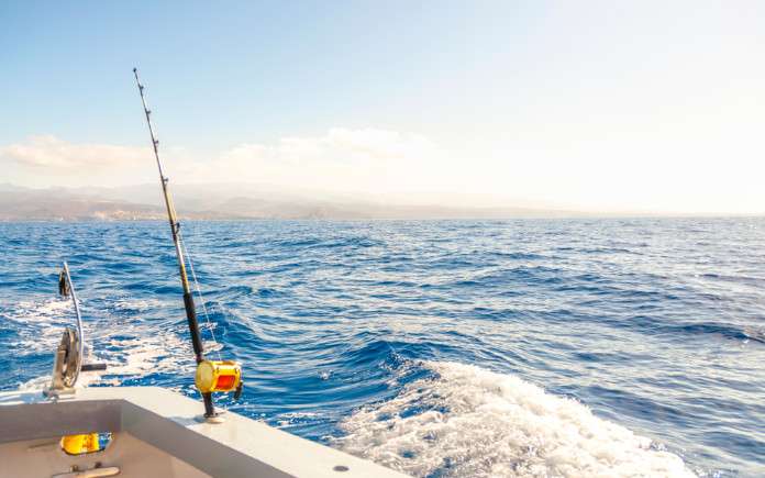 tours gran canaria vissen